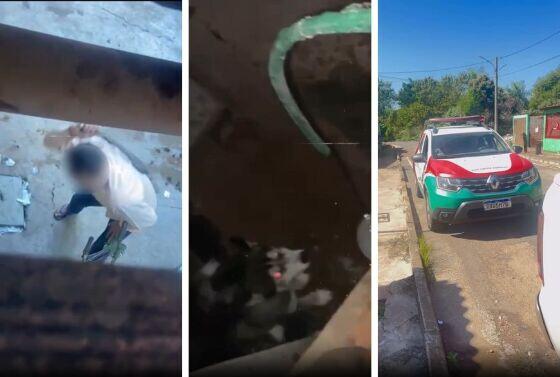 Cão que vivia faminto e levando surra de cinto é resgatado em VG; veja vídeo