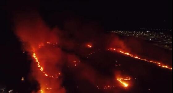 Incêndio de grandes proporções consome região de mata; vídeo