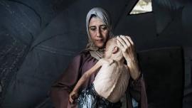 Relatório alerta para mortes em massa iminentes em Gaza