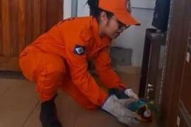 Bombeiros resgatam arara ferida após colisão com carreta