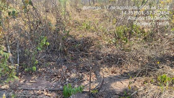 Cinco pessoas são presas por desmatamento ilegal em área de reserva ambiental