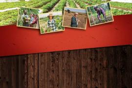 Encontro sobre segurança alimentar e combate à fome começa quinta
