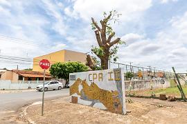 Proprietário de rede de farmácias é notificado por poda ilegal de árvore no CPA II